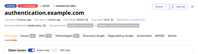 4-attaxion-scan-auth-indicator-asset-details