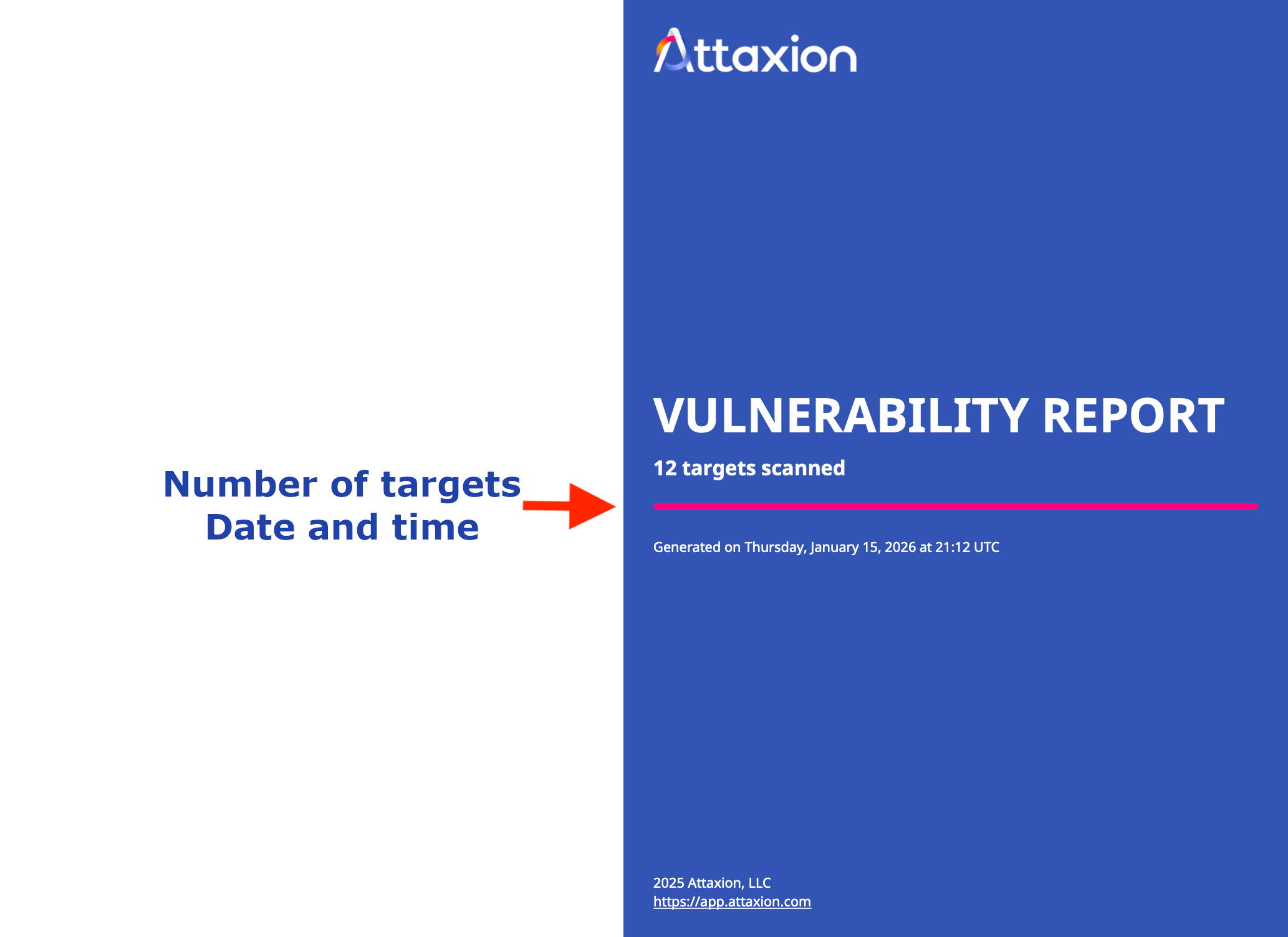 How to Generate and Export a Vulnerability Report